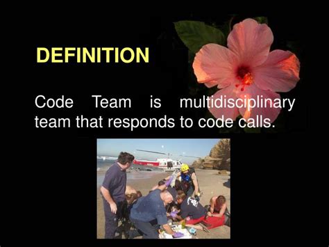 Image result for Mock Code Team Roles