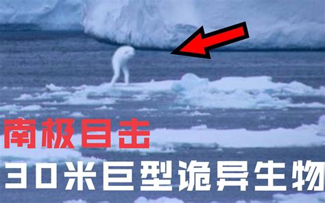 南极诡异目击：冰层上惊现30米“人造巨人”？未解生物Ningen之谜！_哔哩哔哩 (゜-゜)つロ 干杯~-bilibili