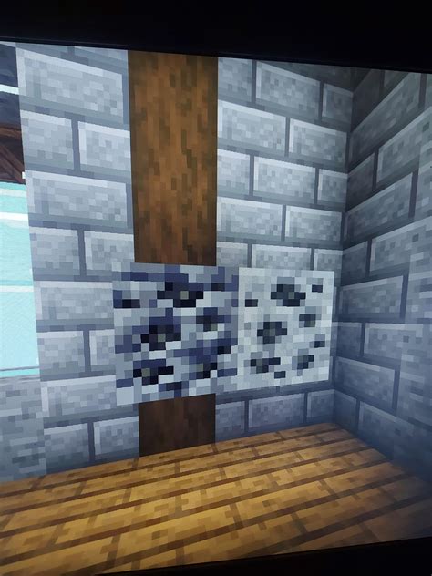 I found a Deepslate-coal on our Survival server, I just wonder if it's still so rare like it was ...