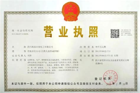 重庆营业执照网上办理指南（含详细步骤）- 重庆本地宝