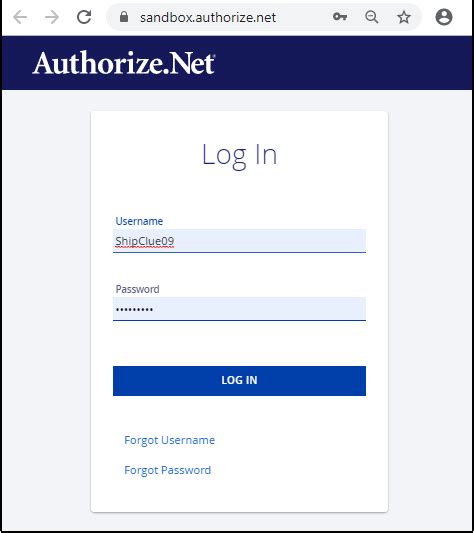 Authorize.net Tutorial 的图像结果