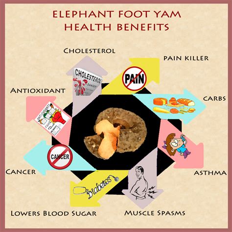 Health Benefits Of Yams at Carmen Wong blog