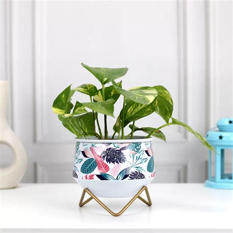 Caramel Mini Metal Planter