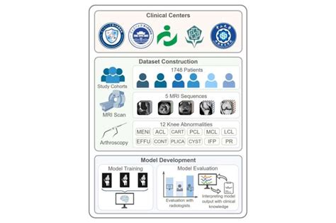 Knee Net Deep Learning Model 的图像结果
