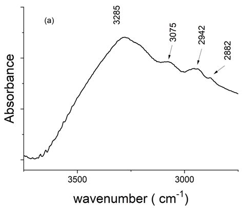 Characterization of Human Teeth Using Vibrational Spectroscopies