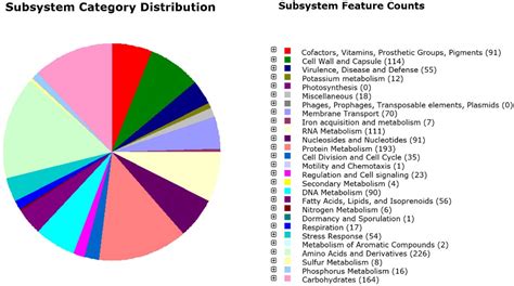 Streptococcus salivarius 24SMBc Genome Analysis Reveals New Biosynthetic Gene Clusters Involved ...