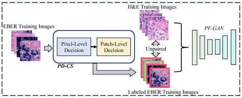 Automatic Annotation Diagnostic Framework for Nasopharyngeal Carcinoma ...