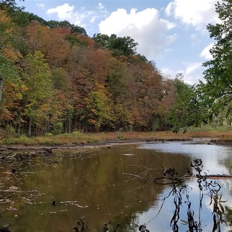 ROCKY RIVER RESERVATION (2026) All You Need to Know BEFORE You Go (with ...
