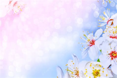 Colorful Spring Desktop Wallpaper 的图像结果