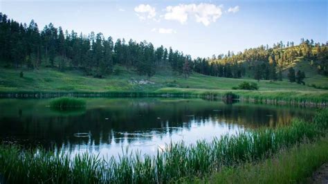 Cow Creek South Campground Colorado: Camping Reservations & Info