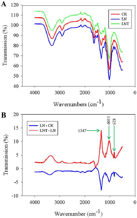 Nitrate Starvation Induces Lateral Root Organogenesis in Triticum ...