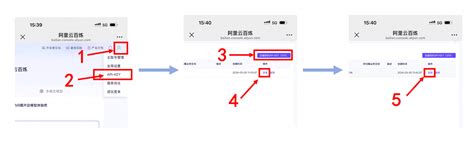 Image result for Deepseek V3 API Key