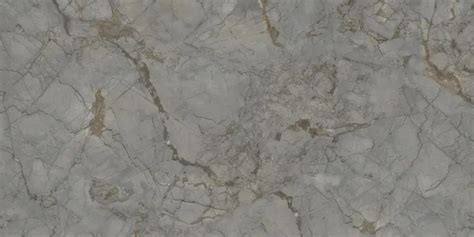 Collin Fantastico Grey
