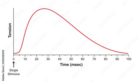 Image result for Muscle Myogram