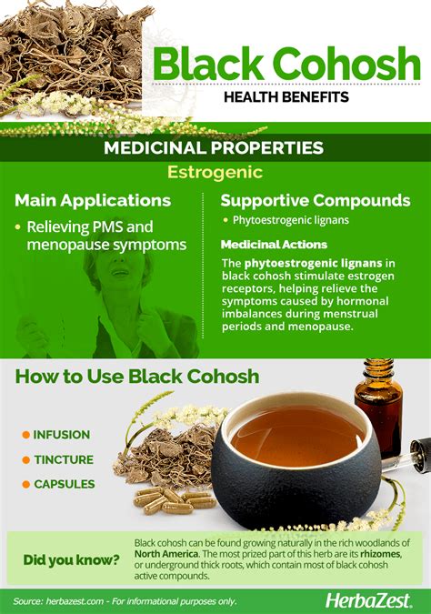 Black Cohosh | HerbaZest