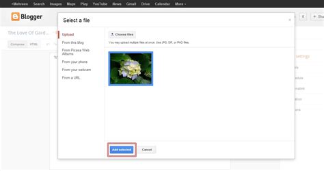 Image result for Insert Text Box into Blogger