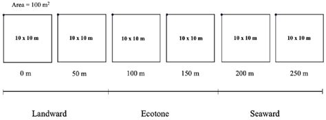 Image result for Transect Method Continuous Sampling