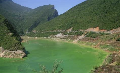 三峡水库没水了?长江流域干旱，61年来最强高温：向下游补水5亿方__财经头条