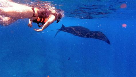Snorkel en Nusa Lembongan, Denpasar - Central de Reservas