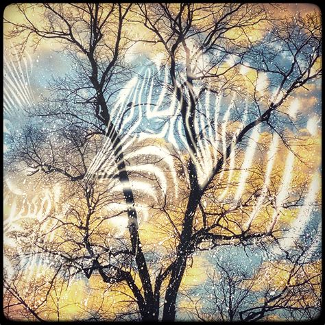 Image result for Multiplicity Photography Examples