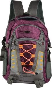 MOLADZ 15 inch Laptop Backpack PURPLE - Price in India | Flipkart.com