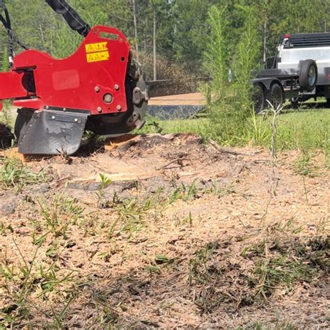 Stump Grinding Georgia | Stump Removal | Quick & Affordable!