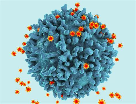 Image result for Host-Pathogen