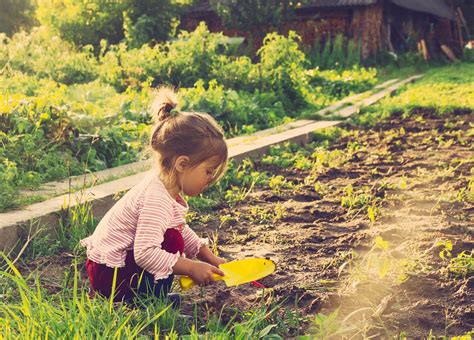 Nature Activities for Kids: Ideas for Exploring Outdoors