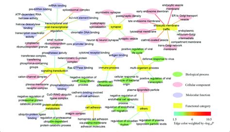Go Annotation Tools 的图像结果