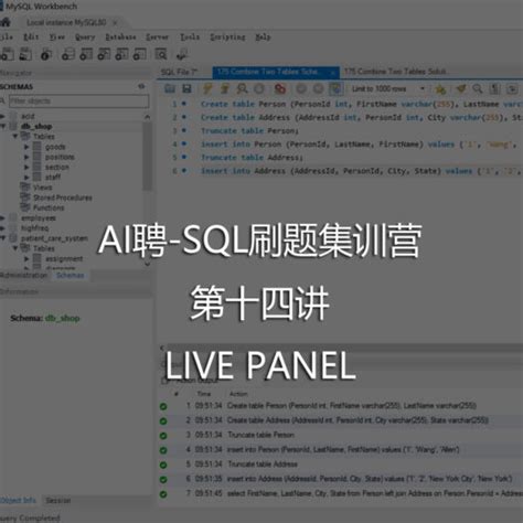 SQL Lesson 13 的图像结果