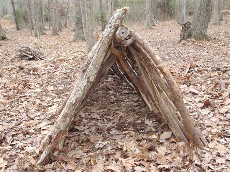Image result for Different Types of Survival Shelters