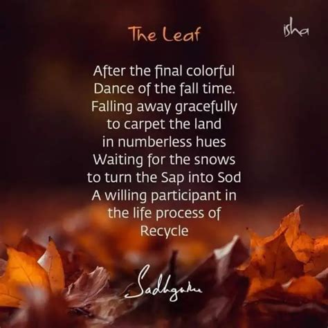 | Quotes & Writings by Jiyona | YourQuote