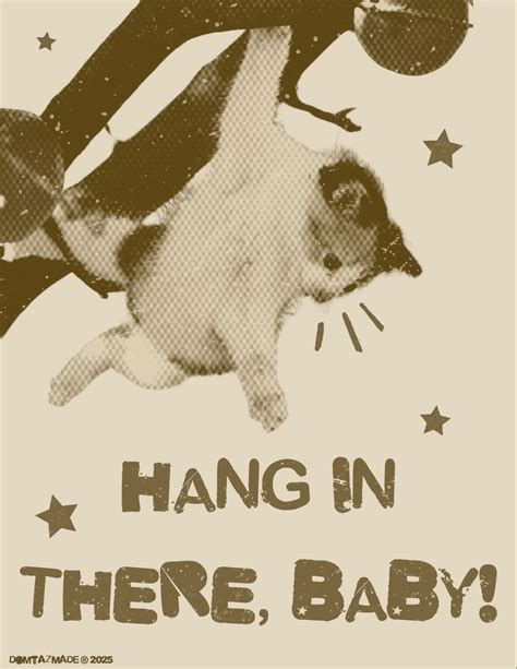 Cat Hang in There Poster