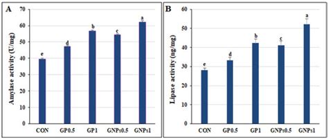 Comparative Study on Ginger Powder and Ginger Extract Nanoparticles ...