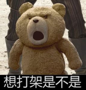 泰迪熊表情包-想打架是不是 - DIY斗图表情 - diydoutu.com