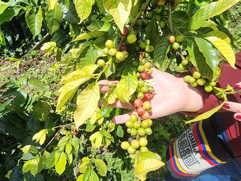 BADILLO AGENCIA DE VIAJES Y TURISMO (2026) All You Need to Know BEFORE ...