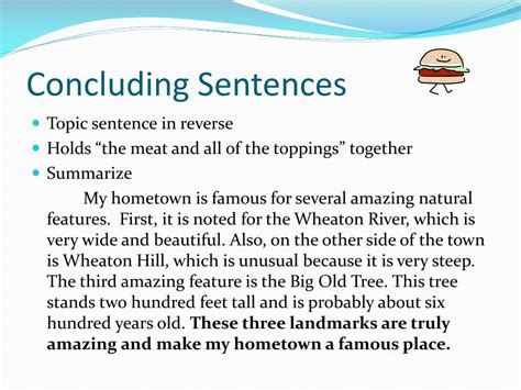 Image result for Basic Paragraph Structure