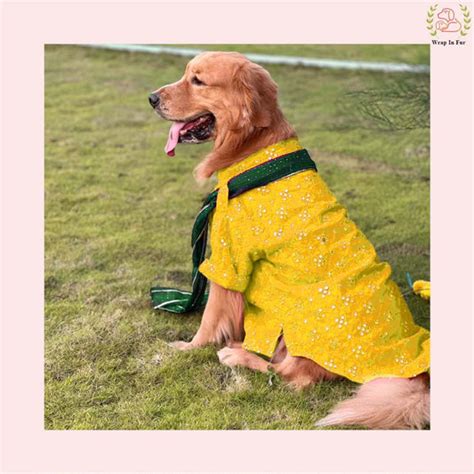 Shop Dog Kurta | Buy Dog Sherwani Online – Wrapinfur