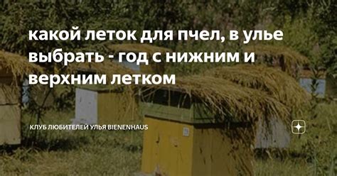 какой леток для пчел, в улье выбрать - год с нижним и верхним летком ...