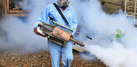 Image result for Fumigation Process