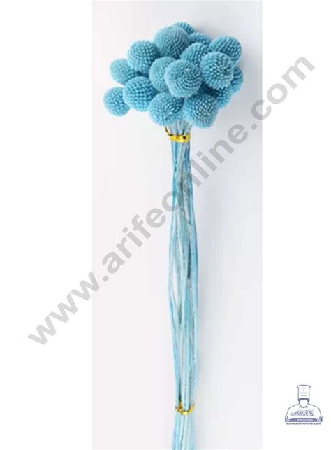 CAKE DECOR™ Light Blue Color Natural Craspedia Balls Billy Buttons For ...