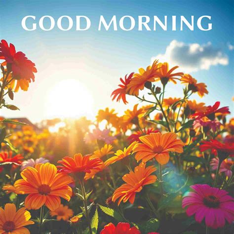 Morning Routine for Vacation 的图像结果