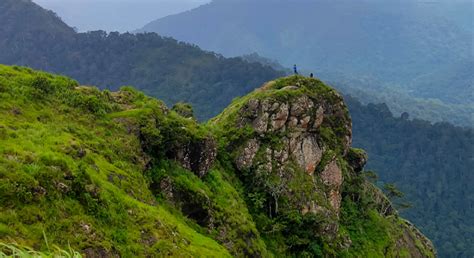 Popular Tourist Destination in Thekkady, Periyar National Park, Tiger Trail