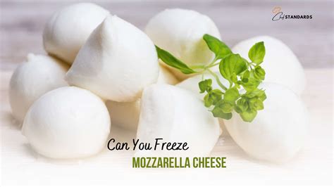 Can You Freeze Mozzarella? Indeed, Here Is The Guideline