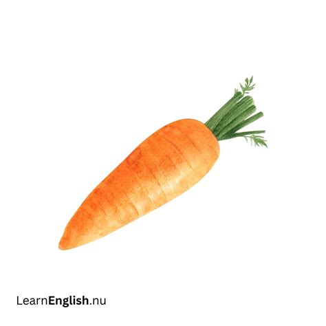 Vegetables In French Pronunciation - learn french