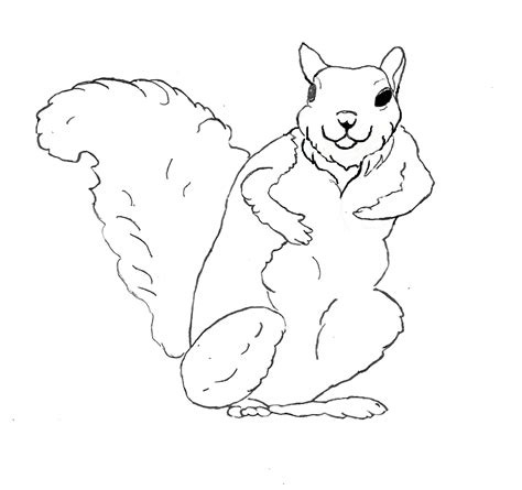Free Printable Squirrel Coloring Pages For Kids
