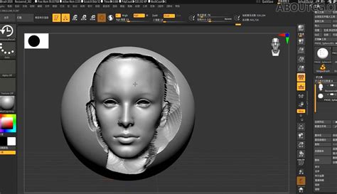 What Is ZBrush