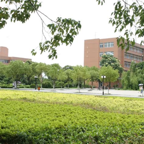 宁波大学科学技术学院慈溪校区 | UAD浙大设计 - 景观网