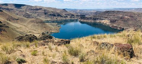 Glory Hole and Owyhee Reservoir OHV Loop, Oregon - 26 Reviews, Map ...