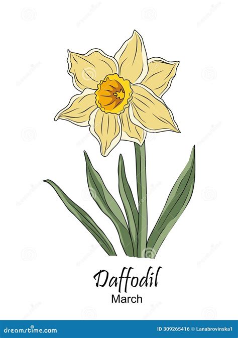 March Birth Month Flower